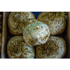 CELERI RAVE - 500 g - 3.50 €/kg - 